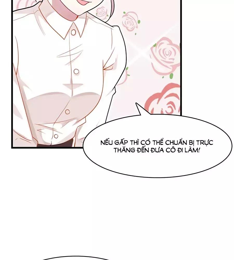 Tổng Tài Daddy Đuổi Tới Nơi Rồi Chapter 16 - 33