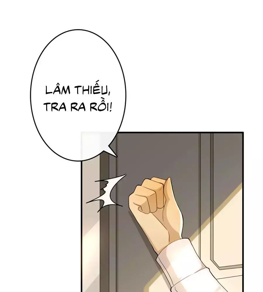 Tổng Tài Daddy Đuổi Tới Nơi Rồi Chapter 2 - 4