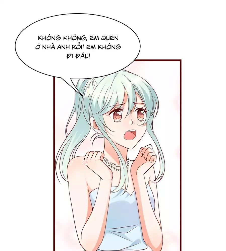 Tổng Tài Daddy Đuổi Tới Nơi Rồi Chapter 35 - 41