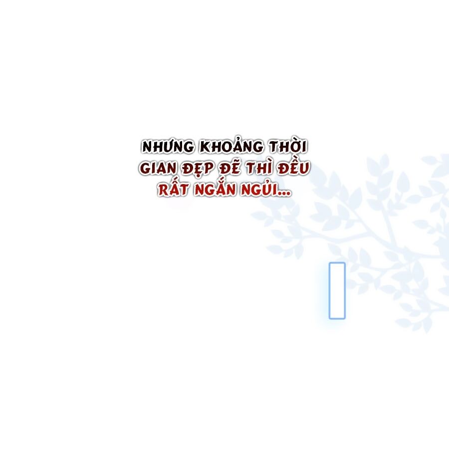 Tổng Tài Daddy Đuổi Tới Nơi Rồi Chapter 51 - 6