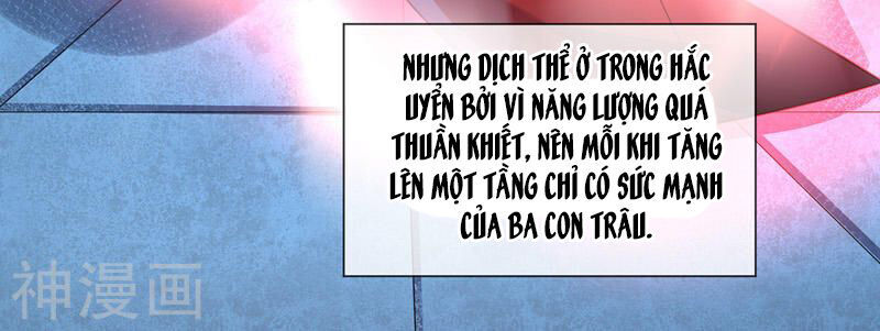 Vạn Cổ Đệ Nhất Tế Chapter 13 - 12
