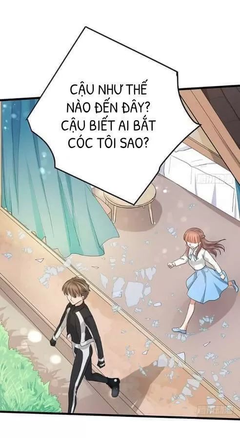 Chào Buổi Sáng, Ức Vạn Manh Thê Chapter 41 - 8