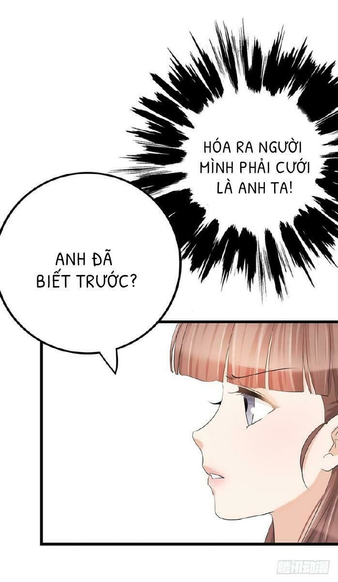 Chào Buổi Sáng, Ức Vạn Manh Thê Chapter 10 - 8