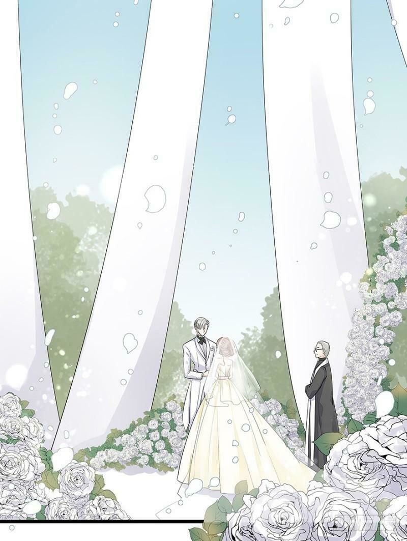 Chào Buổi Sáng, Ức Vạn Manh Thê Chapter 11 - 34