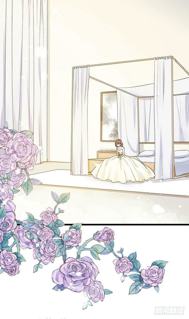 Chào Buổi Sáng, Ức Vạn Manh Thê Chapter 11 - 37