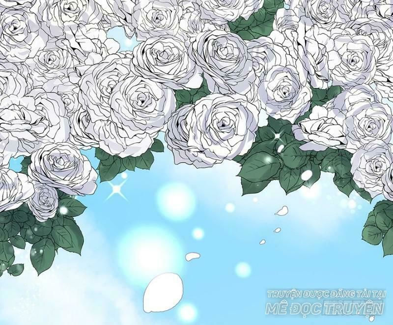 Chào Buổi Sáng, Ức Vạn Manh Thê Chapter 11 - 6