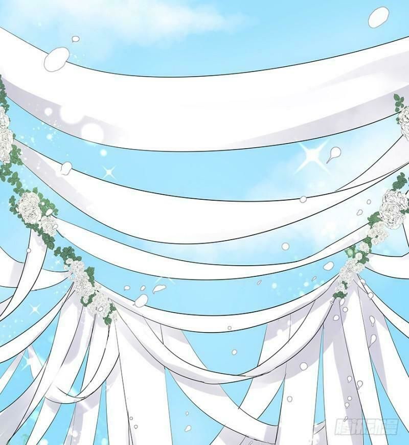 Chào Buổi Sáng, Ức Vạn Manh Thê Chapter 11 - 7