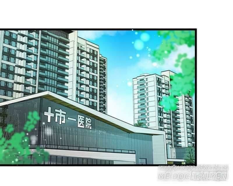 Chào Buổi Sáng, Ức Vạn Manh Thê Chapter 16 - 16