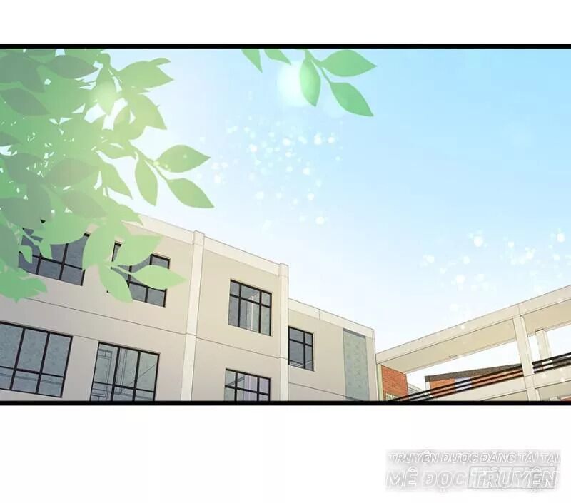 Chào Buổi Sáng, Ức Vạn Manh Thê Chapter 19 - 21