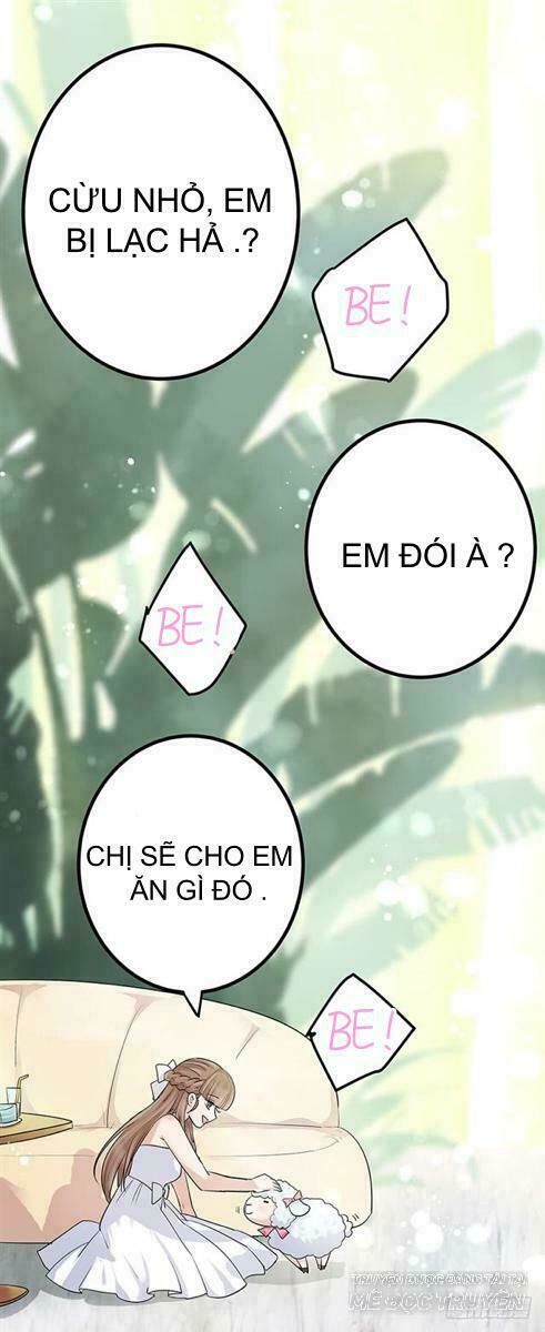 Chào Buổi Sáng, Ức Vạn Manh Thê Chapter 2 - 59