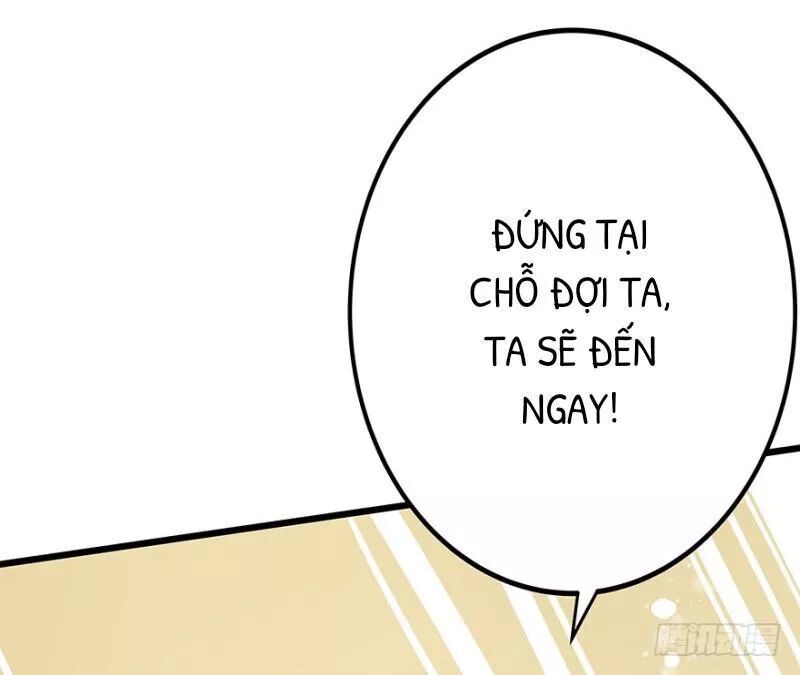 Chào Buổi Sáng, Ức Vạn Manh Thê Chapter 24 - 12