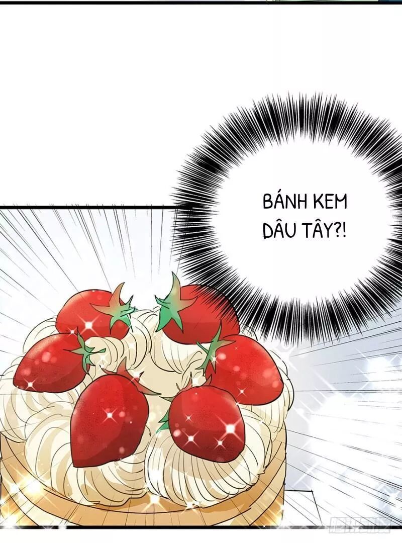 Chào Buổi Sáng, Ức Vạn Manh Thê Chapter 25 - 25