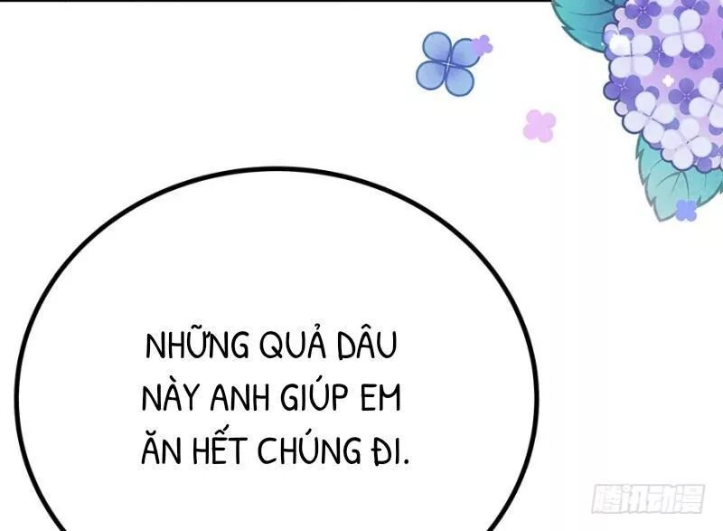 Chào Buổi Sáng, Ức Vạn Manh Thê Chapter 25 - 29