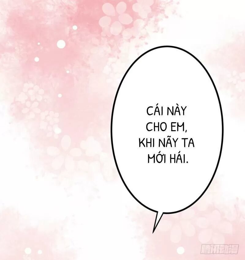 Chào Buổi Sáng, Ức Vạn Manh Thê Chapter 28 - 2