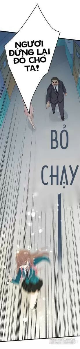 Chào Buổi Sáng, Ức Vạn Manh Thê Chapter 29 - 6