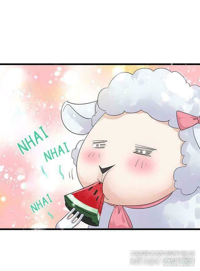 Chào Buổi Sáng, Ức Vạn Manh Thê Chapter 3 - 1