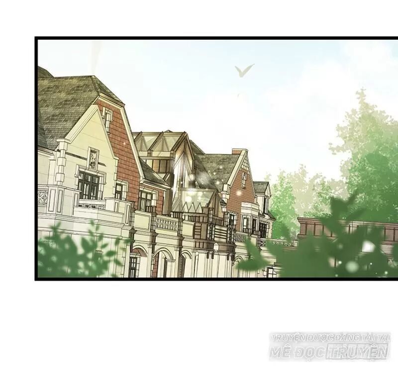 Chào Buổi Sáng, Ức Vạn Manh Thê Chapter 31 - 11