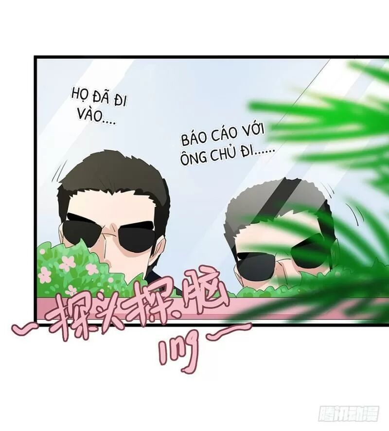 Chào Buổi Sáng, Ức Vạn Manh Thê Chapter 32 - 15