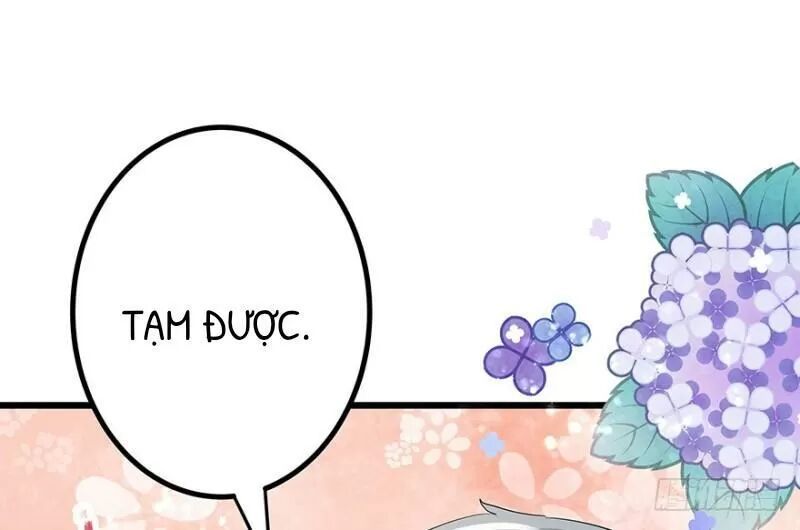 Chào Buổi Sáng, Ức Vạn Manh Thê Chapter 32 - 42