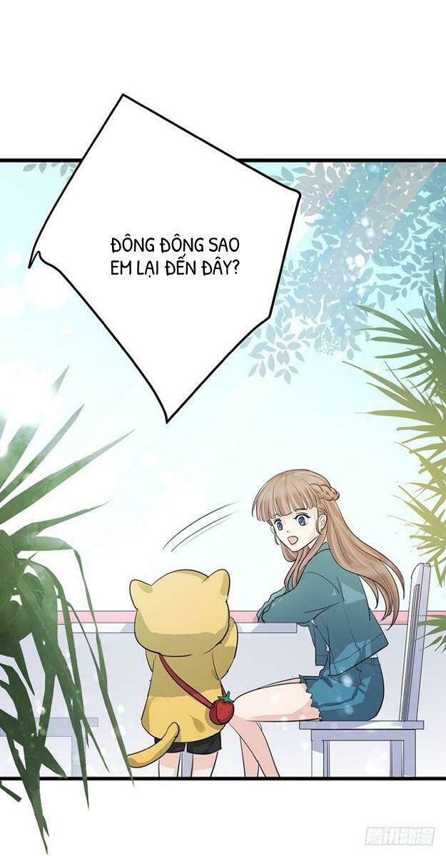 Chào Buổi Sáng, Ức Vạn Manh Thê Chapter 4 - 42