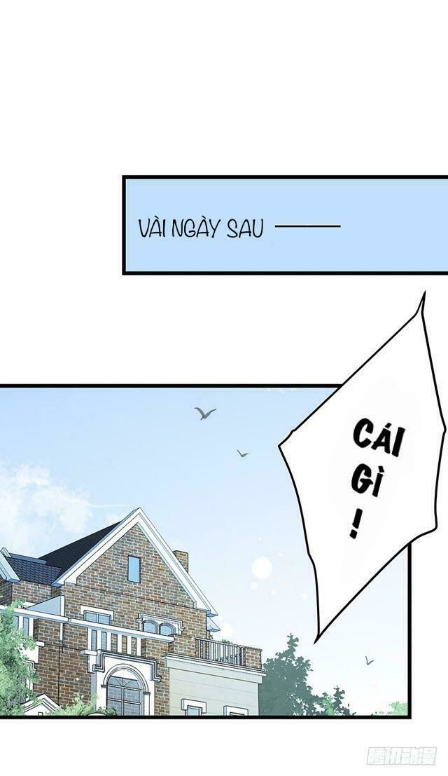 Chào Buổi Sáng, Ức Vạn Manh Thê Chapter 4 - 8