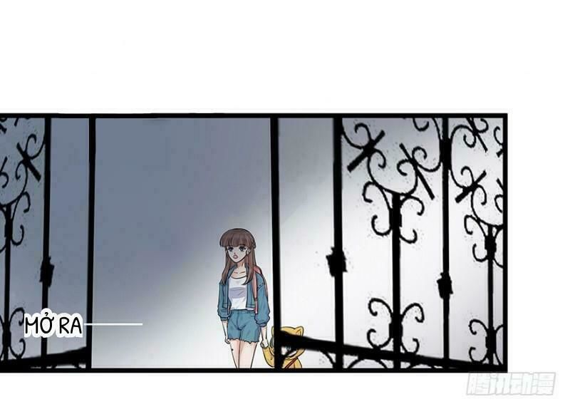 Chào Buổi Sáng, Ức Vạn Manh Thê Chapter 5 - 28