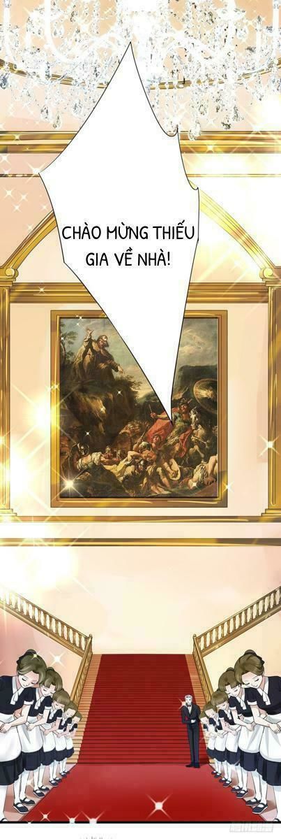 Chào Buổi Sáng, Ức Vạn Manh Thê Chapter 5 - 29