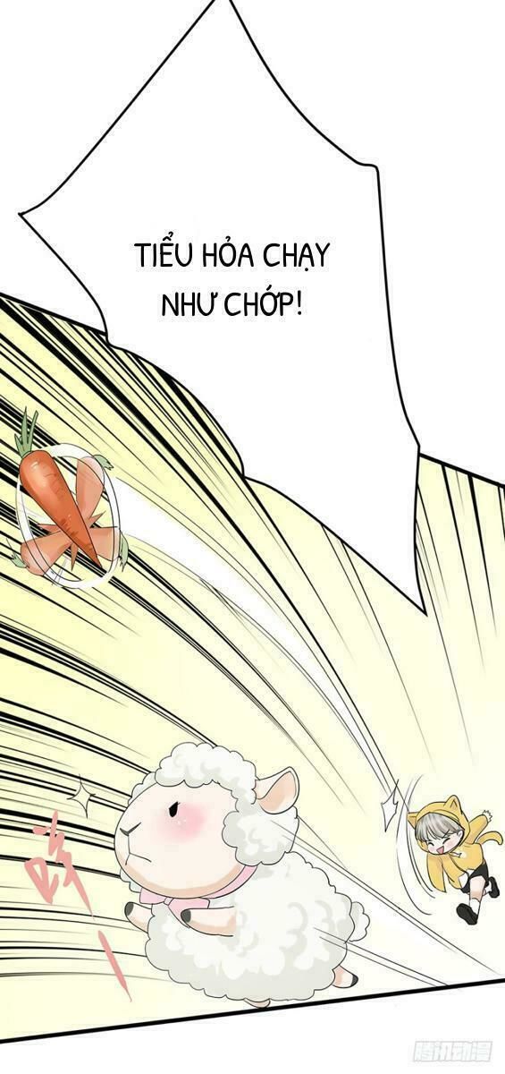 Chào Buổi Sáng, Ức Vạn Manh Thê Chapter 5 - 34