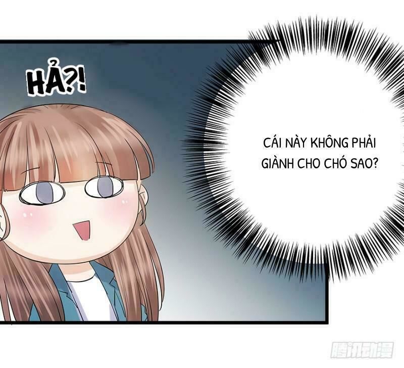 Chào Buổi Sáng, Ức Vạn Manh Thê Chapter 5 - 35