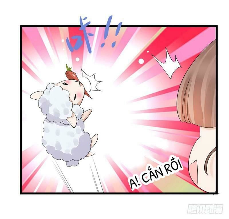 Chào Buổi Sáng, Ức Vạn Manh Thê Chapter 5 - 36