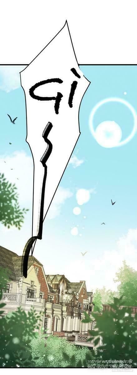 Chào Buổi Sáng, Ức Vạn Manh Thê Chapter 5 - 52