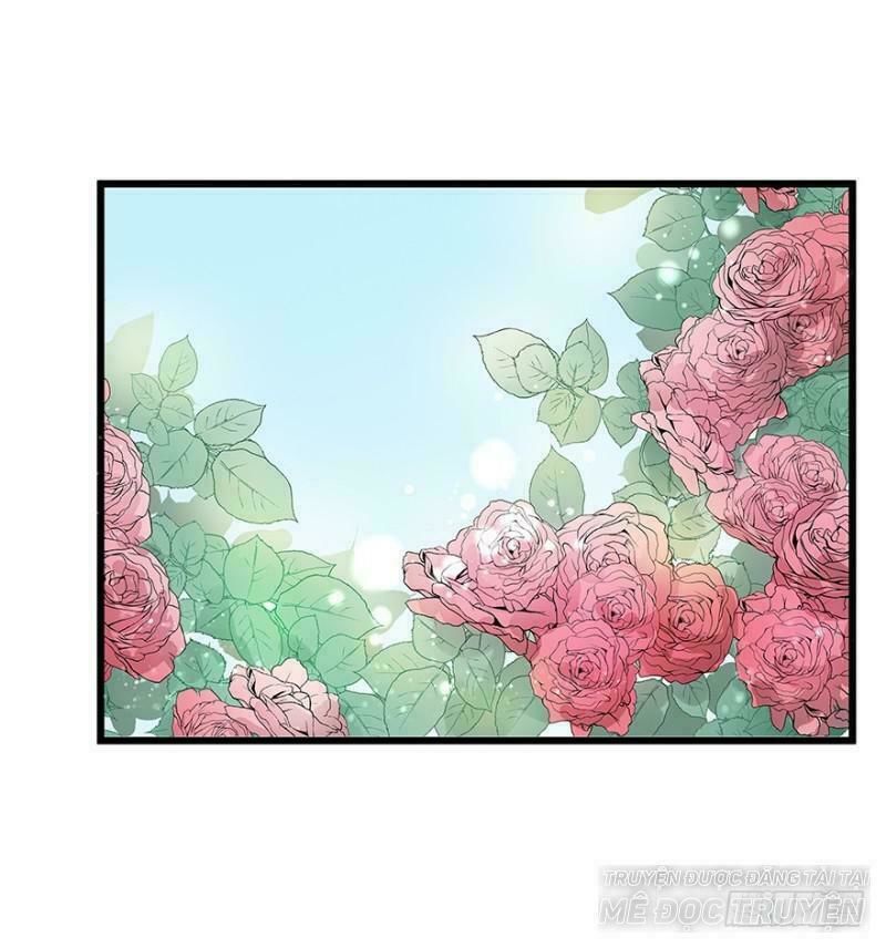 Chào Buổi Sáng, Ức Vạn Manh Thê Chapter 7 - 42