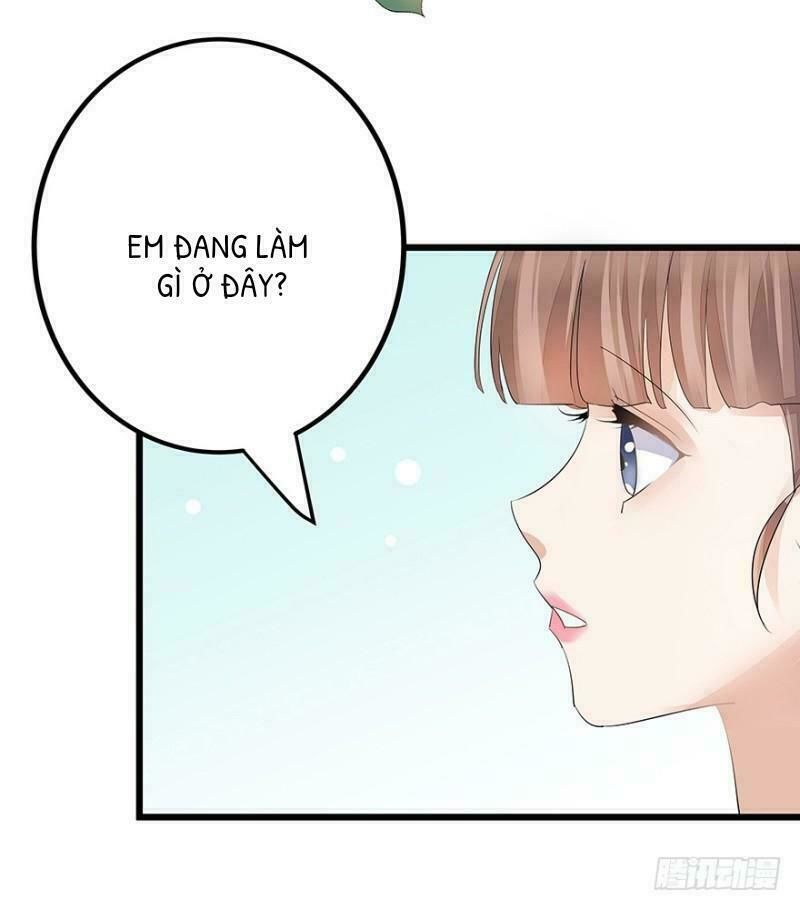 Chào Buổi Sáng, Ức Vạn Manh Thê Chapter 8 - 3