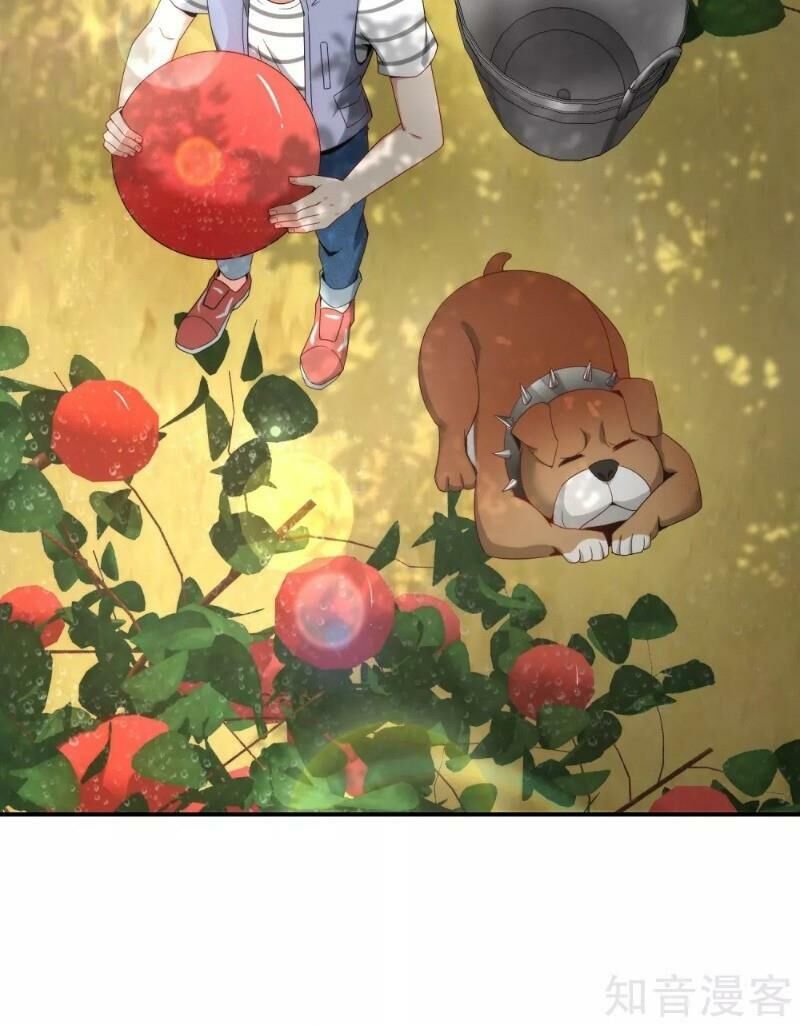 Vòng Bạn Bè Mạnh Nhất Của Tiên Giới Chapter 19 - 2