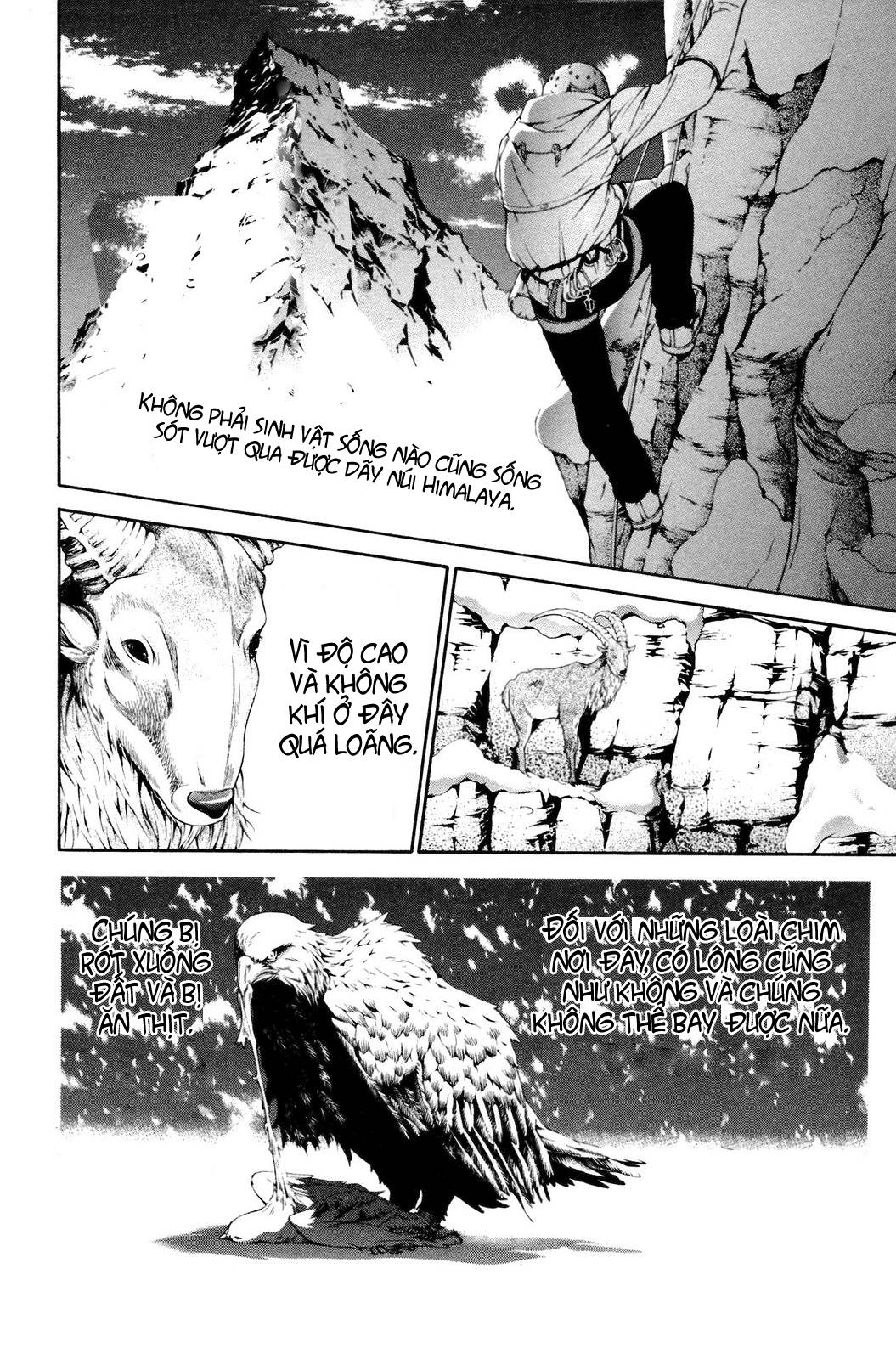 Air Gear Chapter 224 - 10