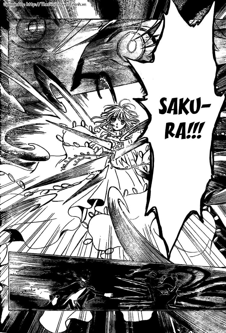 Huyền Thoại Đôi Cánh Chapter 200 - 15