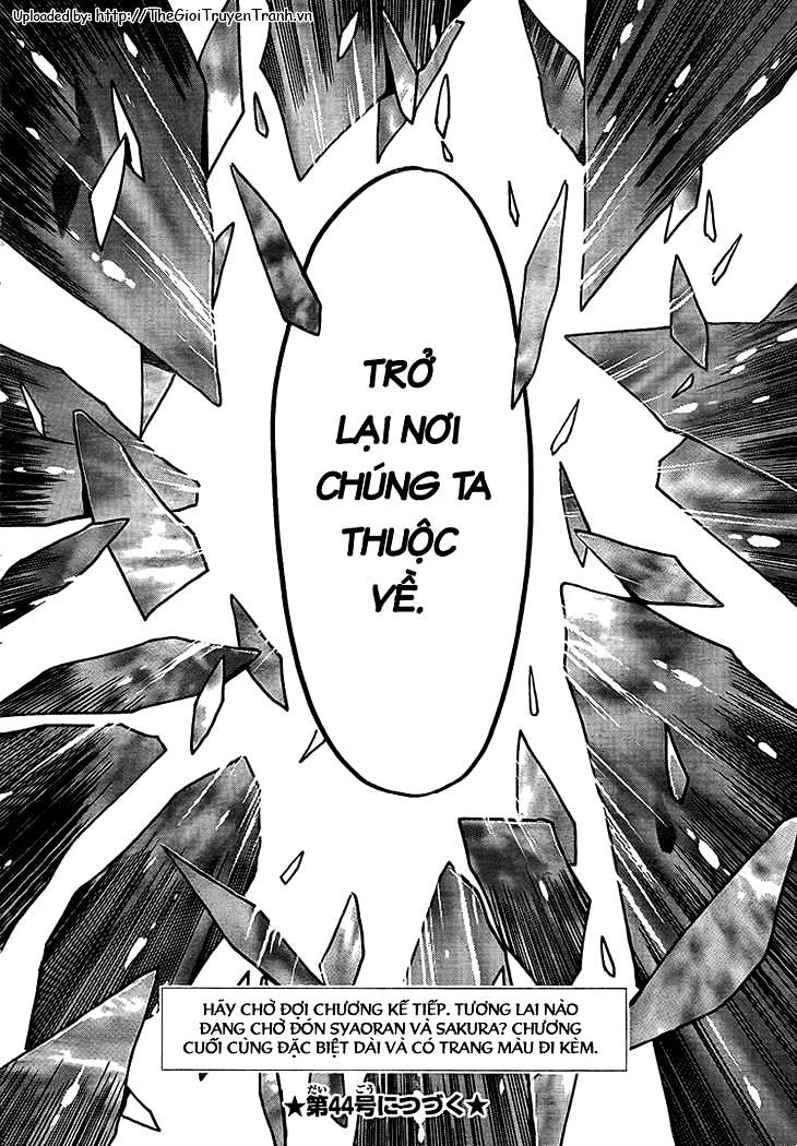 Huyền Thoại Đôi Cánh Chapter 231 - 17