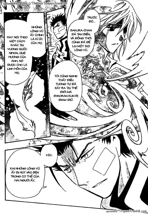 Huyền Thoại Đôi Cánh Chapter 233 - 8