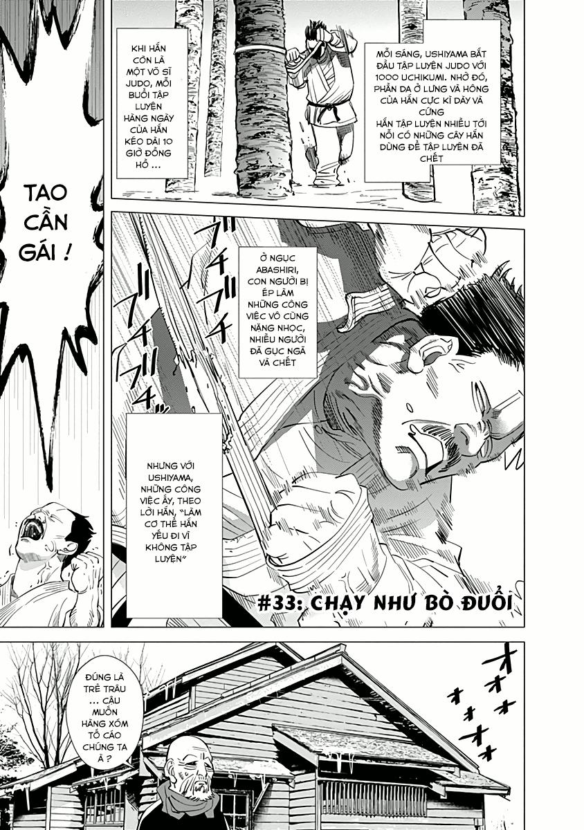 Cơn Sốt Vàng Sau Chiến Tranh Chapter 33 - 1