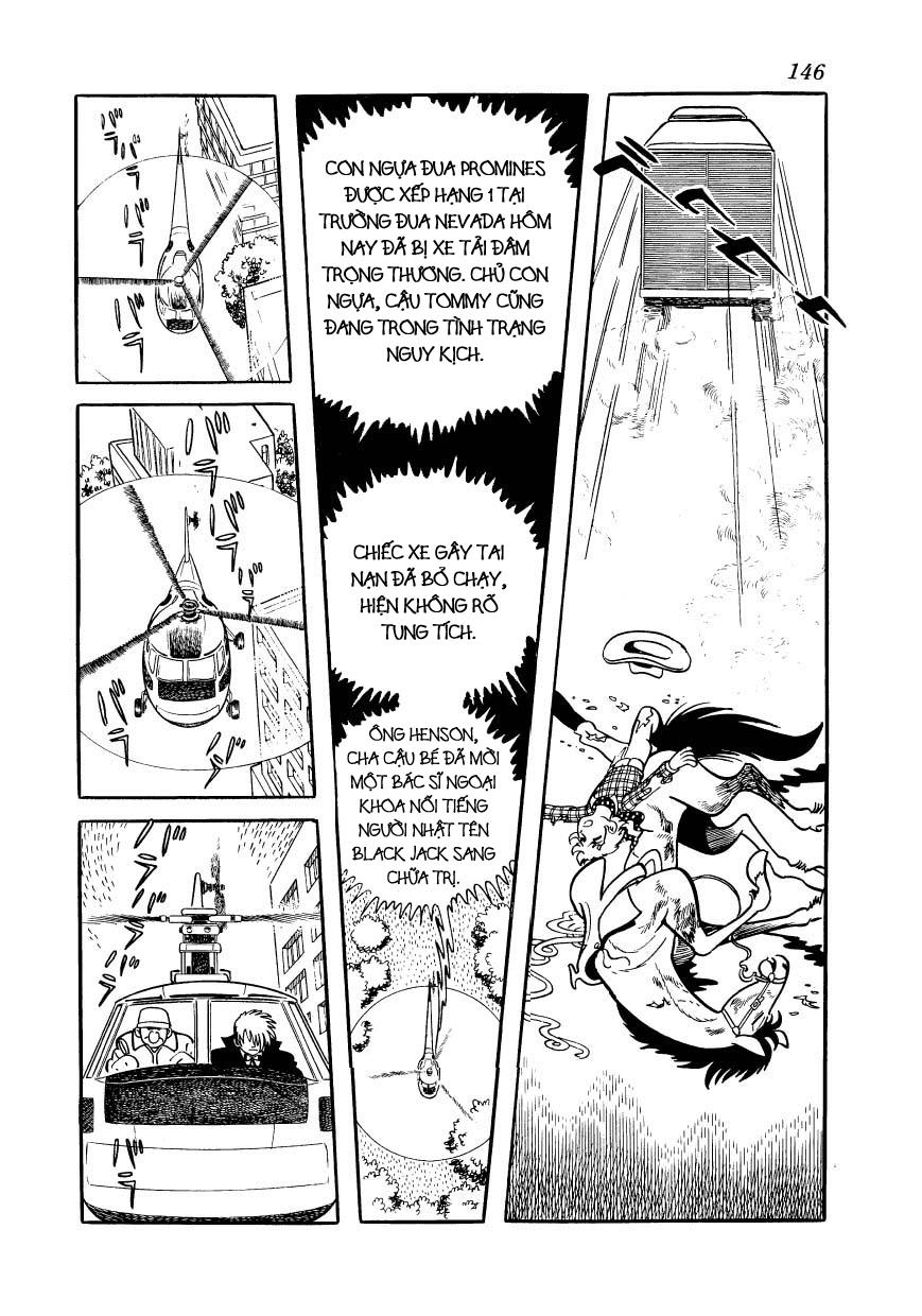 Black Jack Chapter 146 - 7