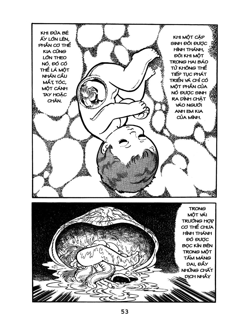 Black Jack Chapter 3 - 6