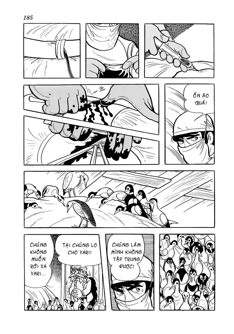 Black Jack Chapter 38 - 11