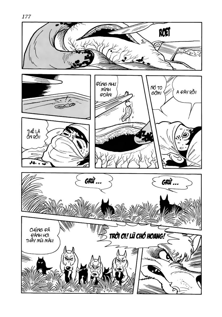 Black Jack Chapter 47 - 21