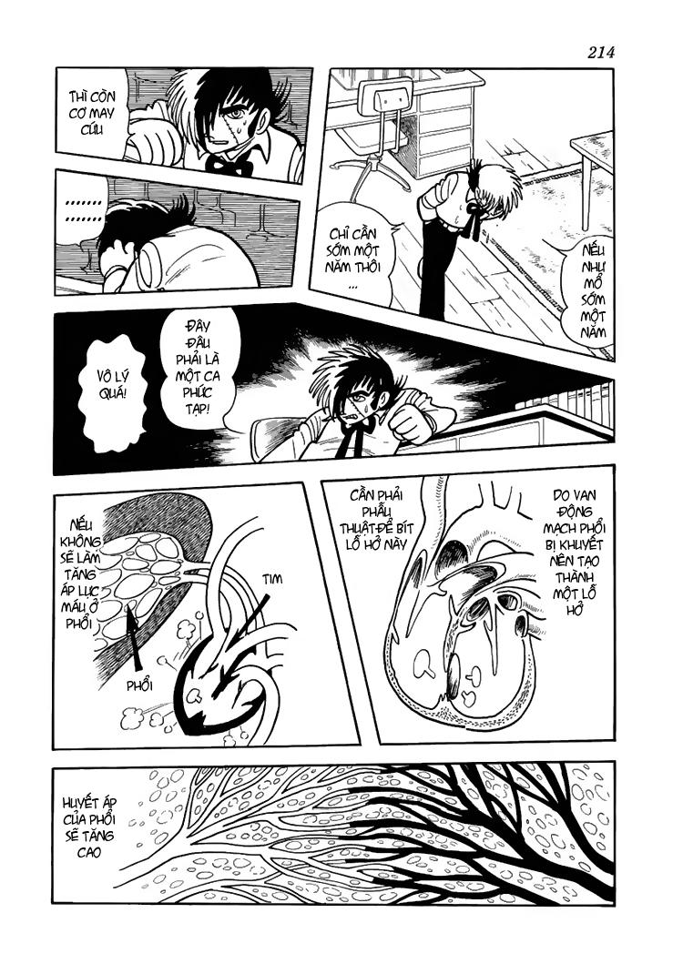 Black Jack Chapter 49 - 12