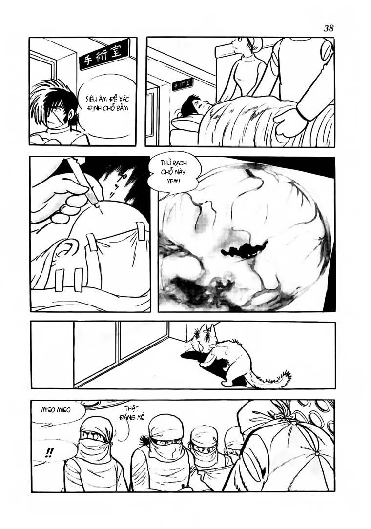 Black Jack Chapter 61 - 14