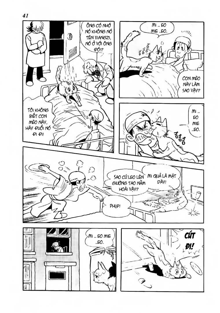 Black Jack Chapter 61 - 17