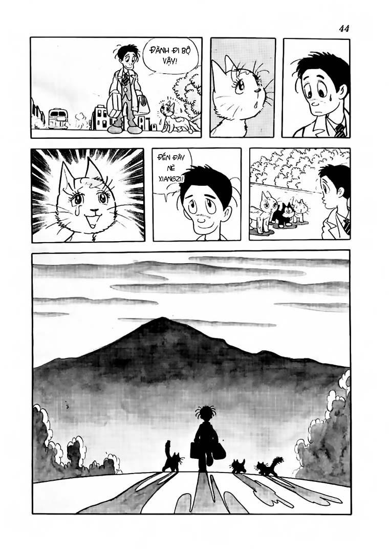 Black Jack Chapter 61 - 20