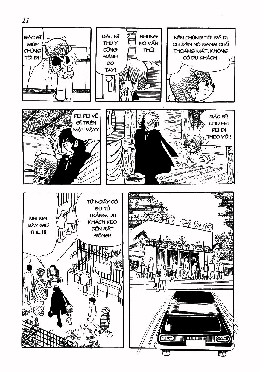 Black Jack Chapter 69 - 5