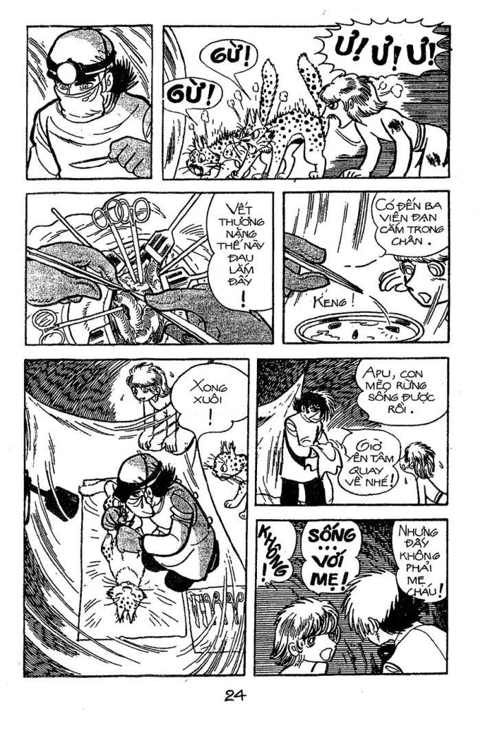 Black Jack Chapter 88 - 25