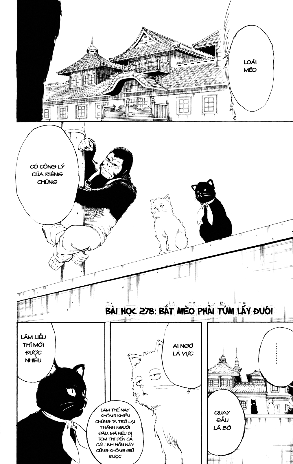 Gintama Chapter 278 - 5